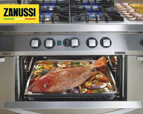 Zanussi Professional Yetkili Servis Hizmetleri